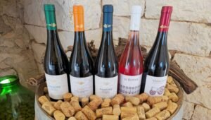 5 Harmonizações de Vinho Perfeitas para o Seu Próximo Jantar